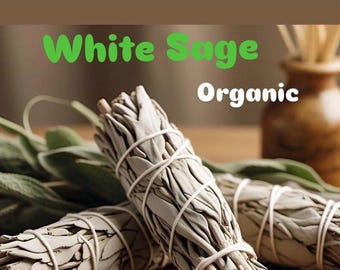 Organic Californian White Sage Wand Bundle 4&quot; - Purification, Smudging, Spiritual Growth, Protection, Meditation, Herbalism Spiritual Gift