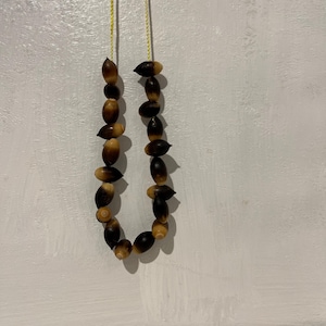 May include: A handmade necklace crafted from natural acorns, strung on a delicate yellow cord. The acorns vary in color from light tan to dark brown, creating a unique and earthy aesthetic. The necklace hangs against a white background.