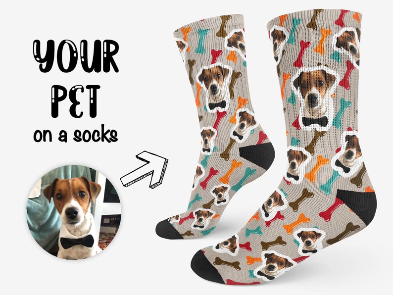 your pet socks