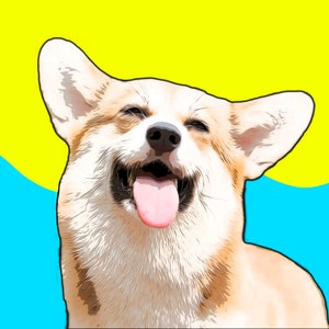 Digital Cartoon Illustration Effect