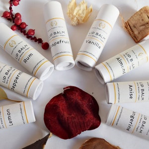 Paquete variado de bálsamo labial Zero Waste, vegano y ultrahidratante