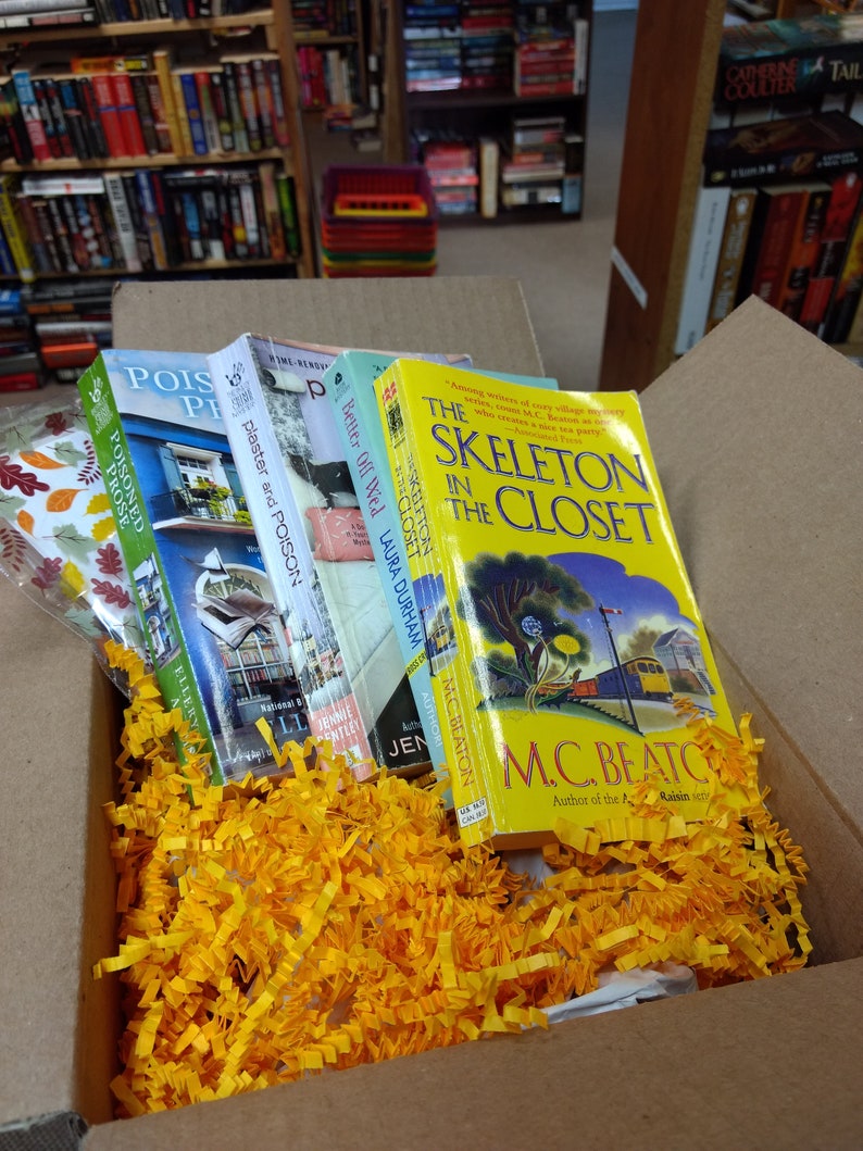 Cozy Mystery Book Box Monthly paperback book subscription Etsy