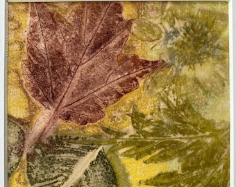 Botanical Print/Ecoprint Artwork on Paper: Maple