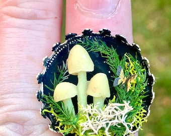 Mushroom terrarium ring