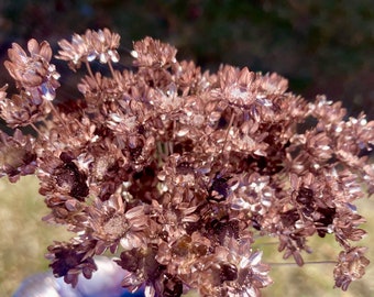 Rose gold star flowers 100 stems