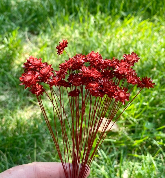 50pcs 24 Gauge White Floral Wire Stem Handmade Artificial Flower  Arrangement Supplies for DIY Craft 