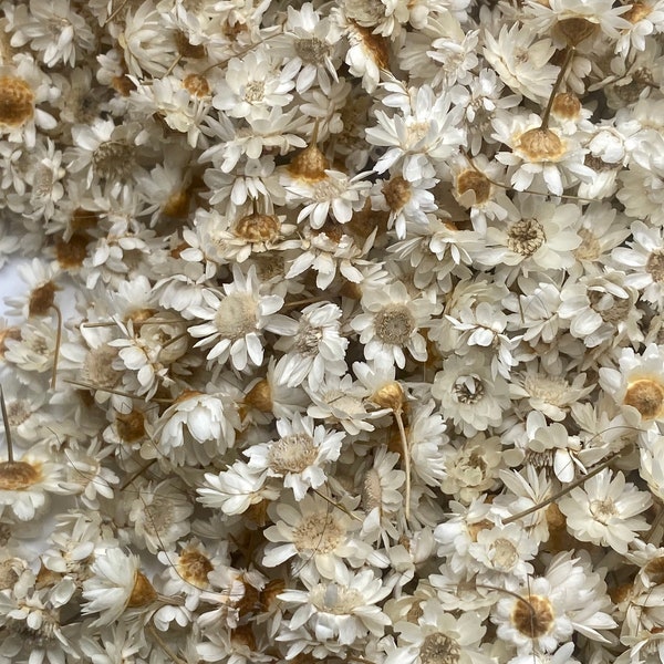 Star flower confetti