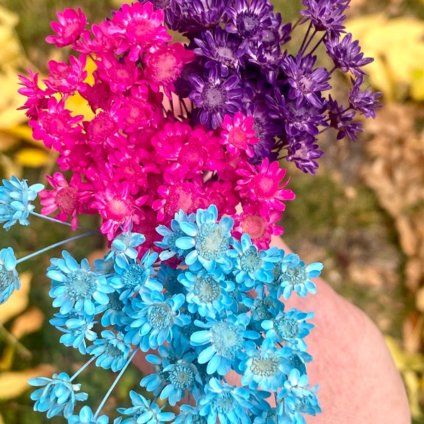 Purple Blue Flower Etsy