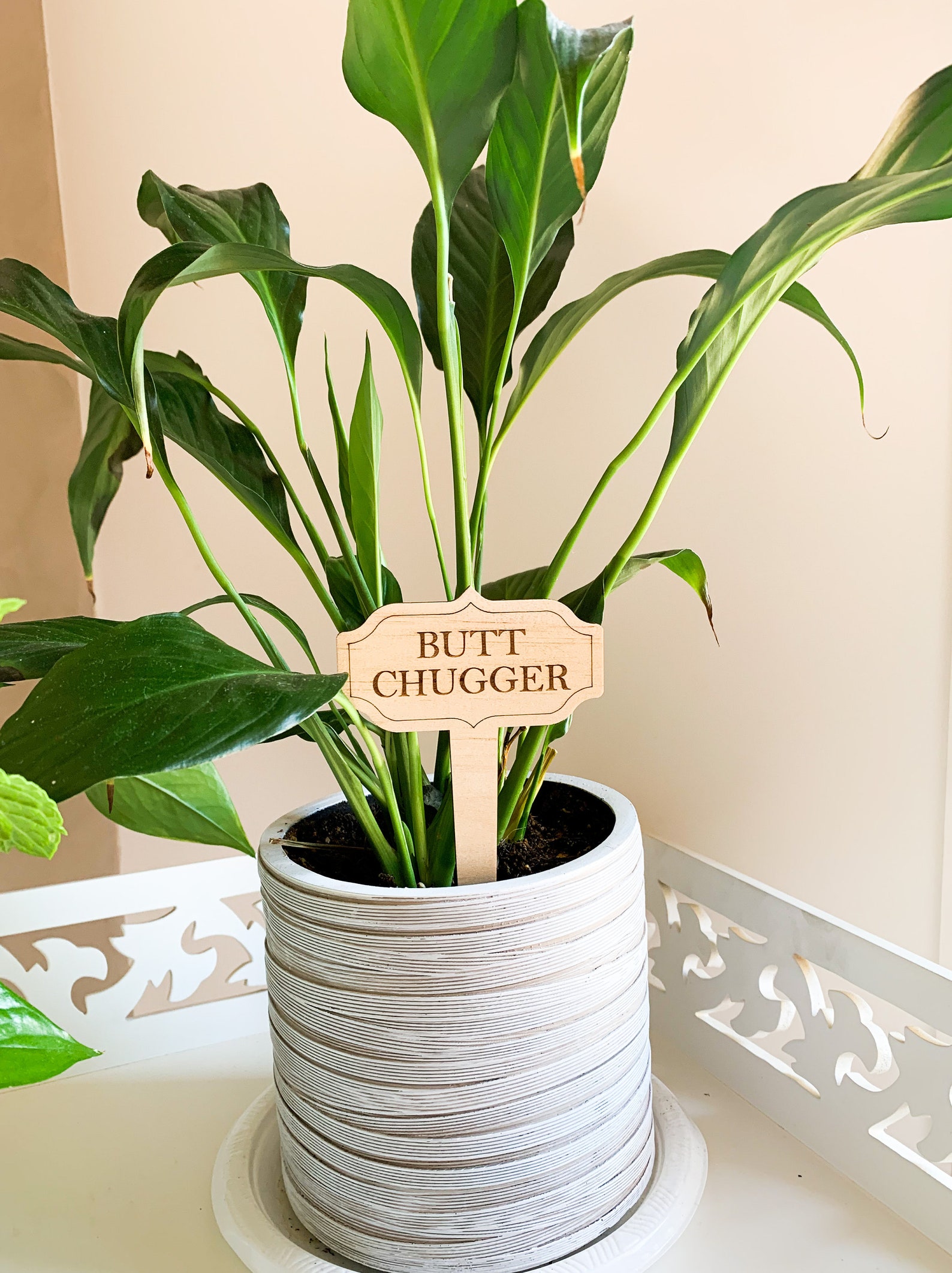 Funny Plant Saying/name/ Garden Markers / Vegetable Wood Etsy Australia