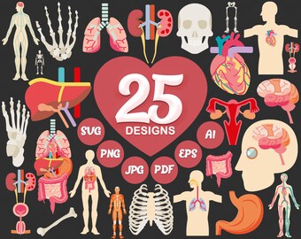 Download Human Body Svg Etsy