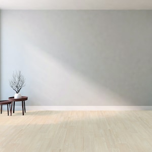 Puede incluir: Una habitación de color gris claro con una ventana grande y una puerta blanca. Hay dos mesas pequeñas de madera con una planta en la mesa más grande. El suelo es de madera clara.