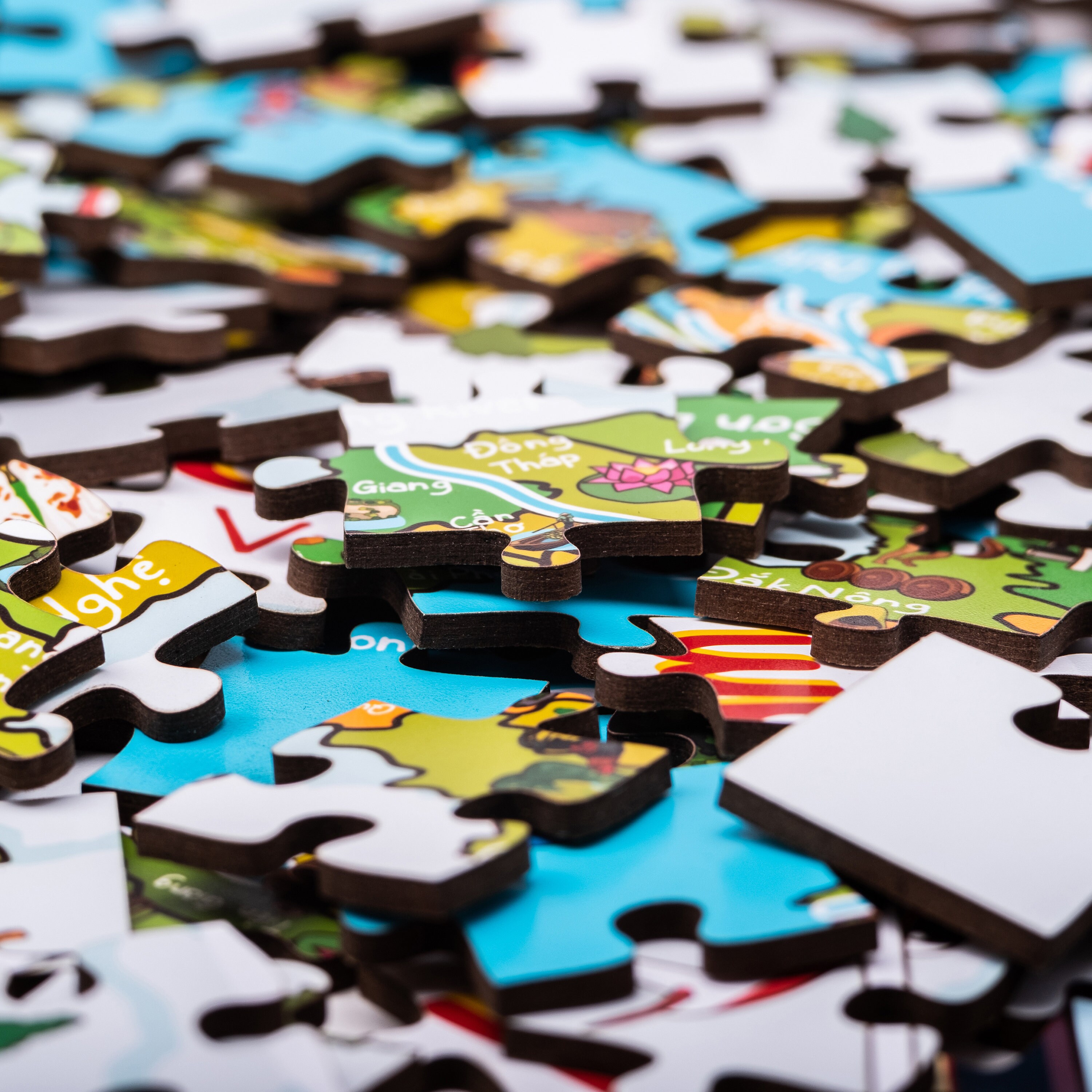 Buy Vietnam Illustrated Map Wooden Jigsaw Puzzle for Children and