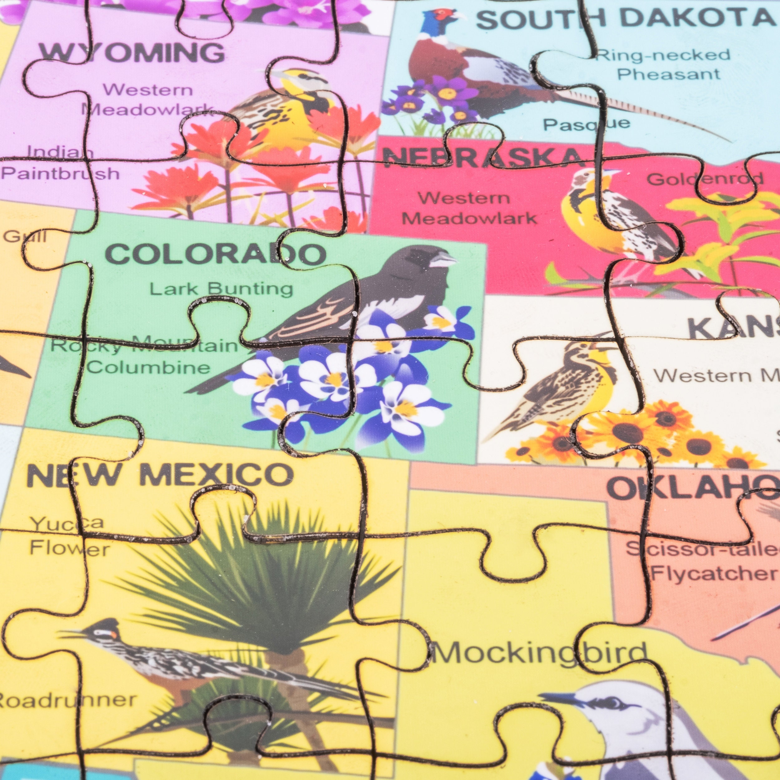 USA States Map Wooden Jigsaw Puzzle, United States America Illustrated Puzzle for Kids, USA