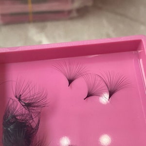 May include: A pink tray containing four clusters of black eyelash extensions. The extensions are arranged in a fan shape and are ready to be applied to the eyelashes.