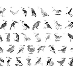 Personalized Cutting Board, Engraved Cutting Board, Bird Watcher Gift, Bird, Bird Lover, Bird Watching Gift, Bird Nerd, Hiker, Traveler, 643 image 4