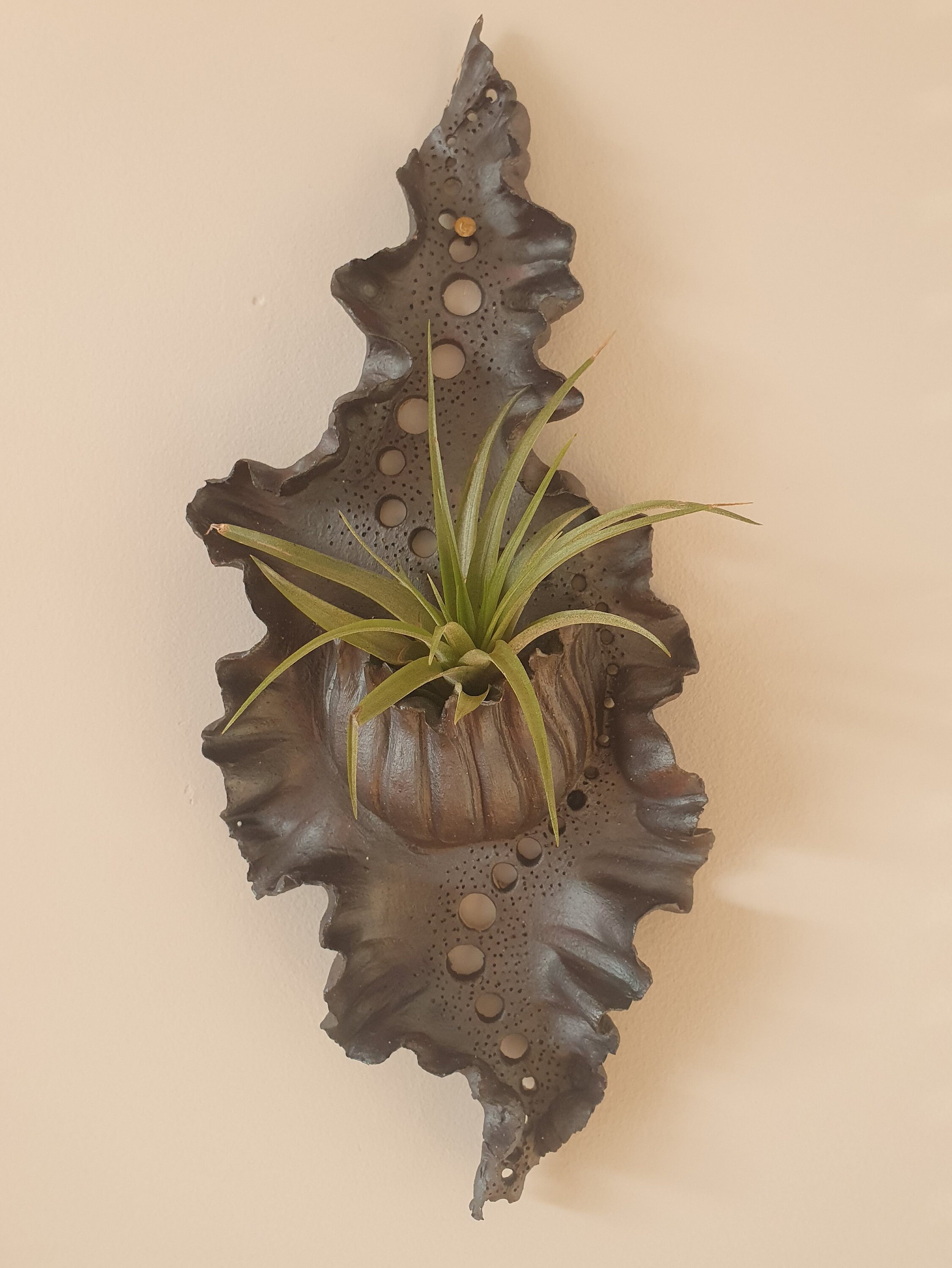 unique wall planter