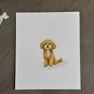 Poodle Watercolor Illustration Hand Painted Dog Portrait Miniature Watercolor Artwork Animal Illustration Toy Poodle Tiny Watercolor Decor