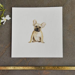 Bulldog Miniature Original Watercolor: Hand-Painted Dog Illustration (12x12cm)