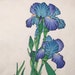 ChunChao Chiu
