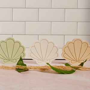 May include: Three wooden seashells in different shades of green, white, and beige. The shells are arranged in a row on a pink surface with a sprig of greenery in front of them.