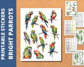 Tropical Parrots Planner Stickers: Classic Happy Planner, Cricut Ready (PDF & PNG)