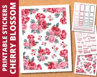 Red Pink Valentine's Florals Planner Stickers: Classic Happy Planner, Cricut Ready (PDF & PNG)