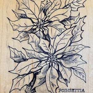 Poinsettia - PSX Botanische K-784