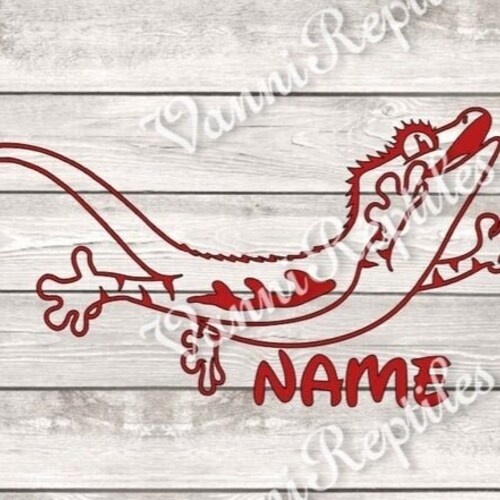 Boa Constrictor Custom Name Decal Reptile Tank Decal Etsy