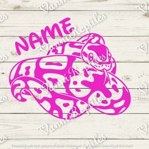 Ball Python Custom Name Decal | Custom Tank Decal