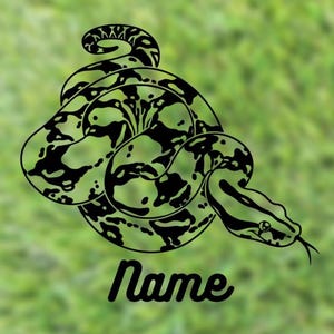 Boa Constrictor Custom Name Decal | Reptile Tank Decal