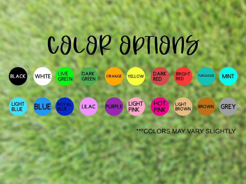 Ball Python Custom Name Decal | Pied Ball Python immagine 4