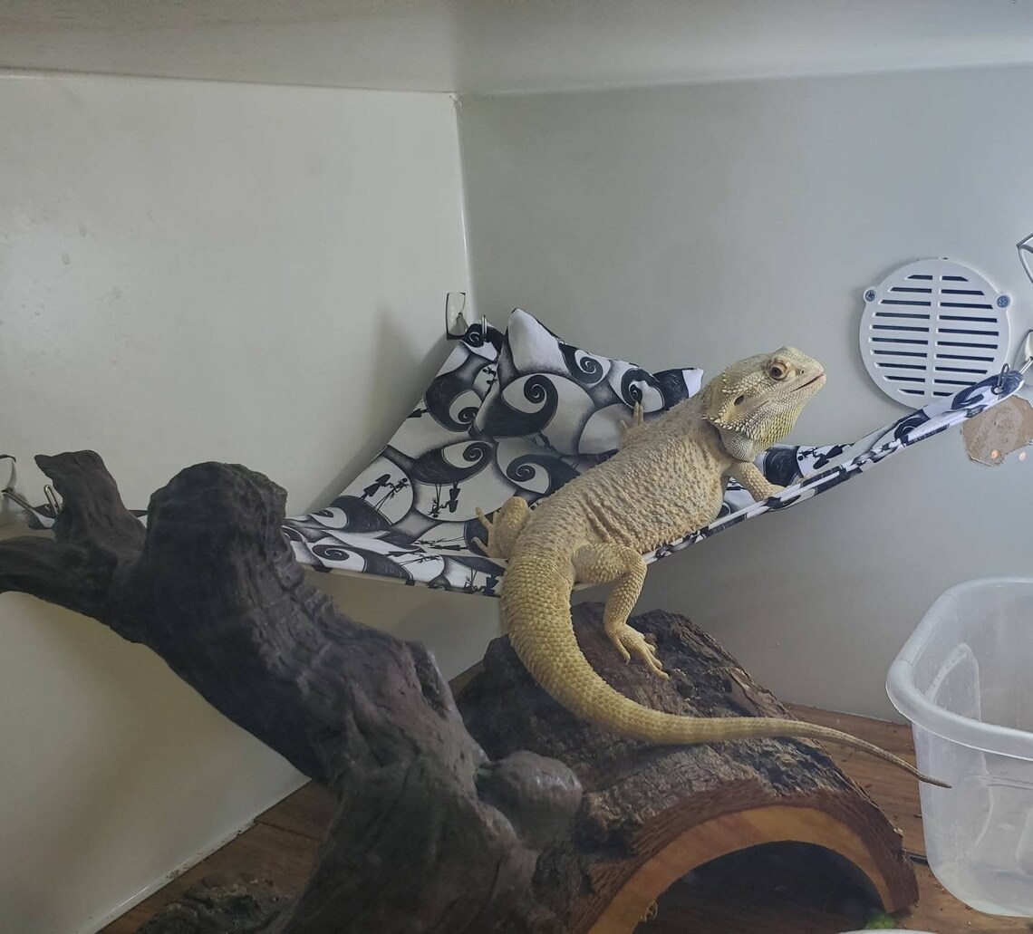 Extra LARGE Reptile Hammock Bearded Dragon Hammock Etsy