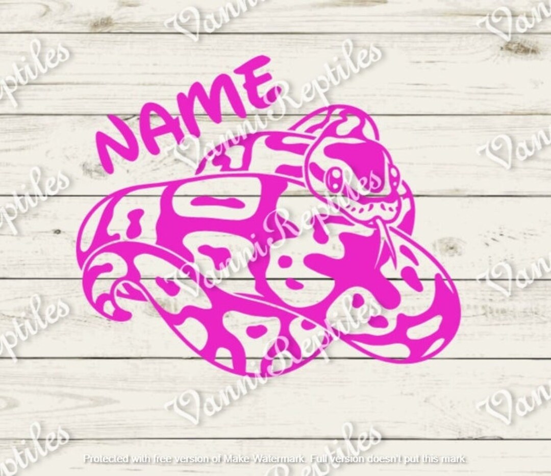 Ball Python Custom Name Decal | Pied Ball Python - Etsy