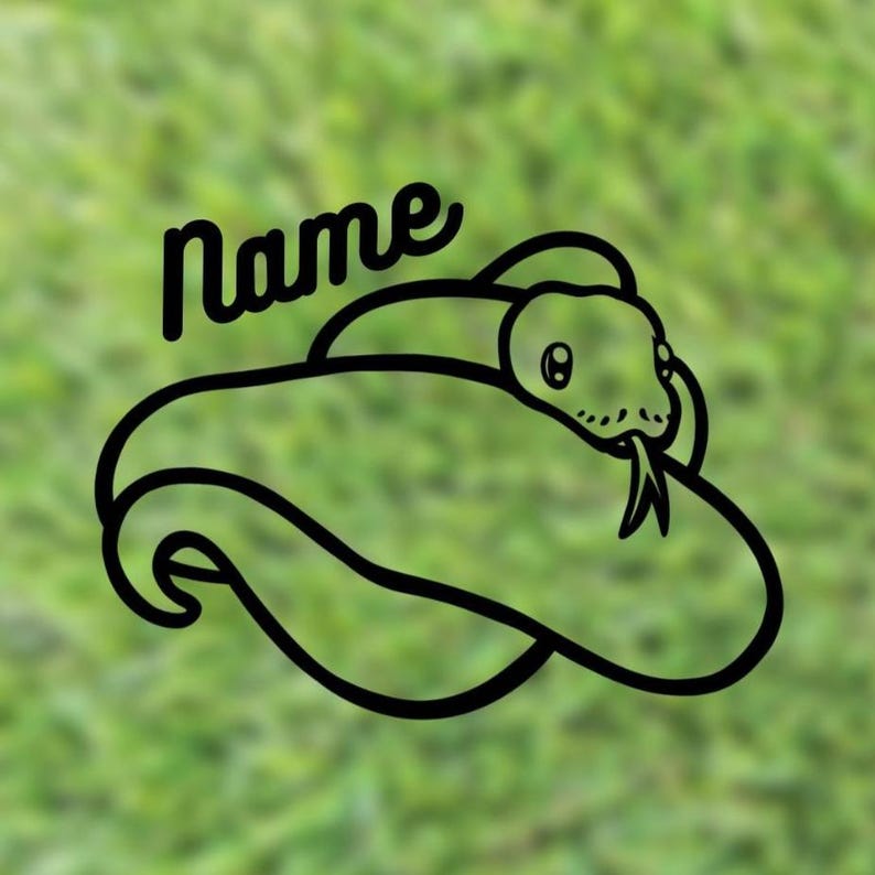 Ball Python Custom Name Decal | Pied Ball Python immagine 3