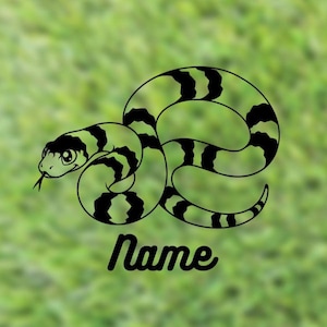Kingsnake/ Milksnake  Custom Name Decal | Custom Tank Decal | Reptile Decal