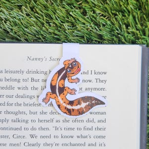 May include: A white bookmark with a cartoon illustration of a leopard gecko with orange and brown markings. The gecko is smiling and sticking out its tongue. The bookmark is on top of a book with the text "Nanny's Secret" visible.