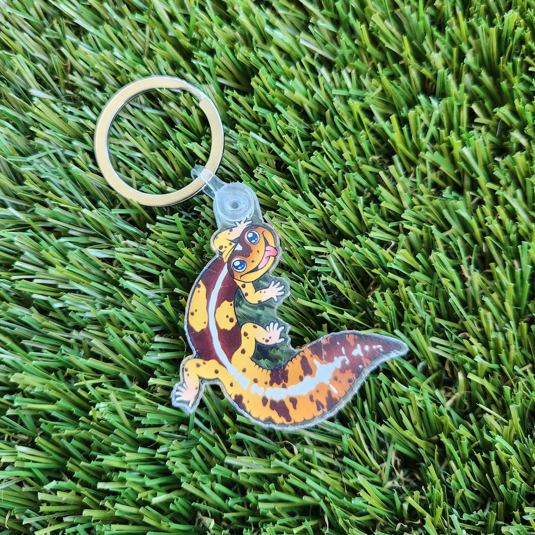 African Fat Tail Gecko Acrylic Keychain - Etsy Österreich