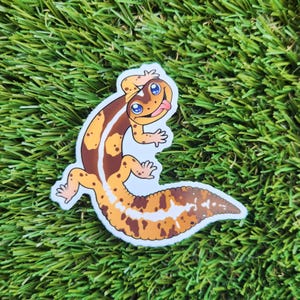 African Fat Tail Gecko Sticker | Gecko Sticker | Cute Sticker | Reptile Sticker