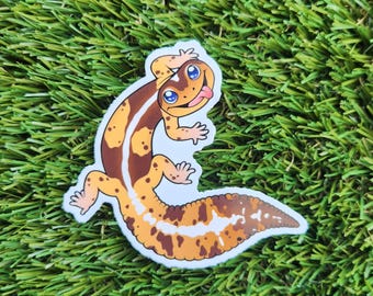 African Fat Tail Gecko Sticker | Gecko Sticker | Cute Sticker | Reptile Sticker