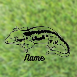 Gargoyle Gecko Custom Name Decal