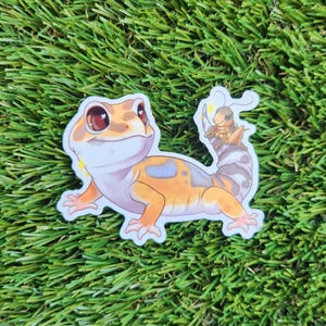 May include: A sticker featuring a cartoon gecko with orange, white and blue markings. The gecko has a small, cartoon cricket on its tail. The sticker is on a green, artificial grass background.