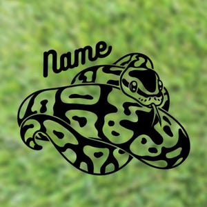 Ball Python Custom Name Decal | Pied Ball Python