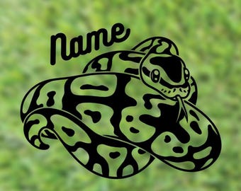 Ball Python Custom Name Decal | Pied Ball Python