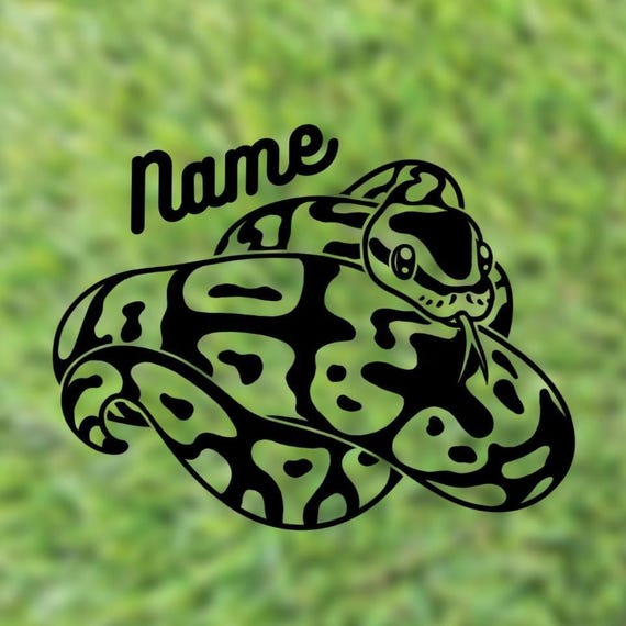 Ball Python Custom Name Decal | Pied Ball Python