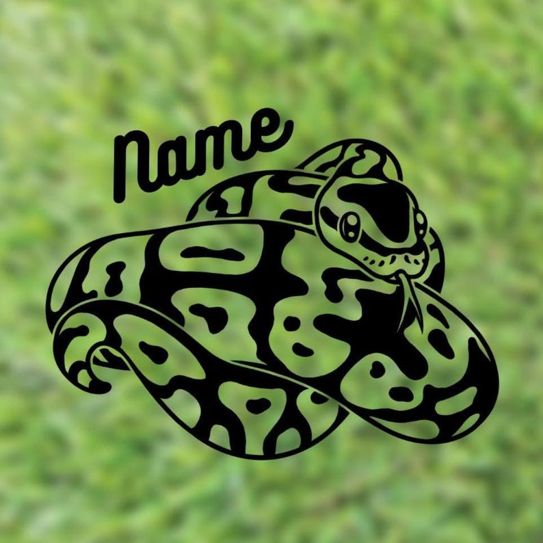 Ball Python Custom Name Decal | Pied Ball Python immagine 1