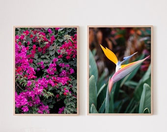 Set of 2 Hawaii Botanical Prints, Bird of Paradise Photo, Bougainvillea Wall Art, Tropical Coastal Decor, Botanical Flora, Big Island Art