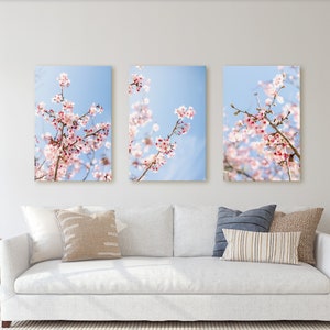 San Diego Cherry Blossom Print Set, Balboa Park Wall Art, La Jolla Photography, Beach House Interior, Coastal Boho Decor, Mothers Day Gift