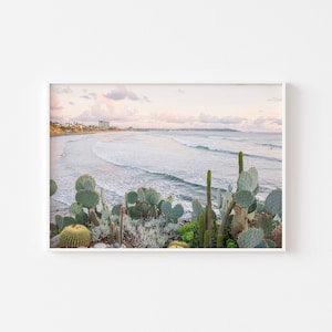 San Diego Bird Rock Waves Photo, La Jolla Cactus Succulent Wall Art, Ocean Surfer Waves, Pacific Beach View, Coastal Decor, Pastel