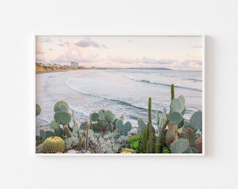 San Diego Bird Rock Waves Photo, La Jolla Cactus Succulent Wall Art, Ocean Surfer Waves, Pacific Beach View, Coastal Decor, Pastel