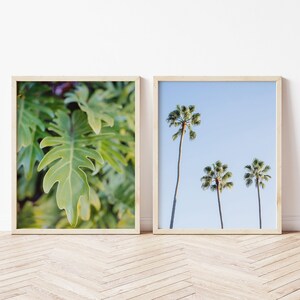 San Diego Tropical Botanical Prints, La Jolla Wall Art, Palm Tree Prints, San Diego California, Coastal Decor, Boho Decor
